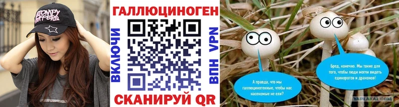 Псилоцибиновые грибы Psilocybine cubensis  маркетплейс формула  Александровск-Сахалинский  купить наркоту 